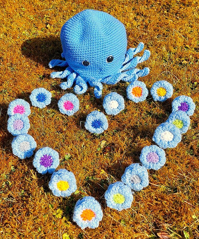 Häkelanleitung für ein Oktopusmemory - Bild 2