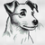 Kreuzstichvorlage Jack Russel Terrier Benji, Stickmuster als PDF/ PNG