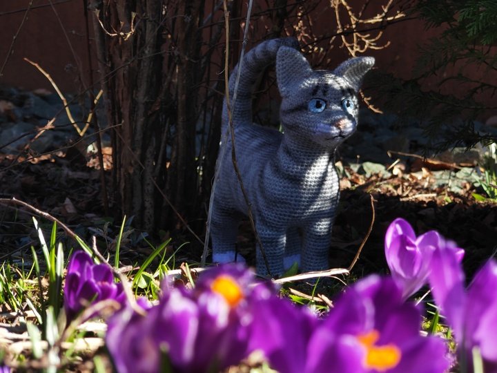 young cat (no sewing) - crochet pattern by NiggyArts