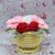 Everlasting Roses in a Pot- Crochet Pattern