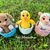 Easter set crochet pattern