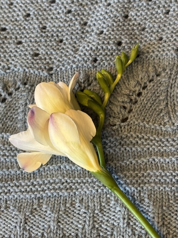 Helle Blüte auf grauem gestricktem Dreieckstuch mit Lochmuster und strukturierter Maschenfolge