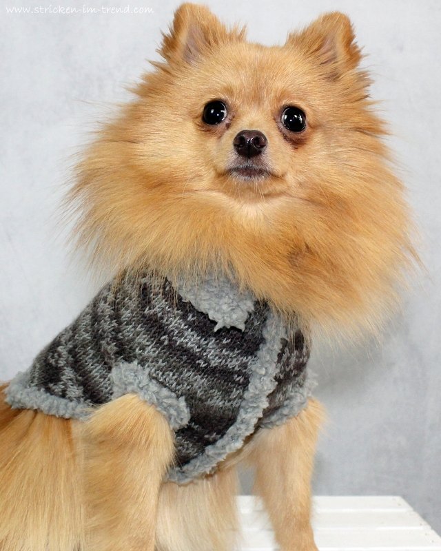 Tunesische Häkelanleitung für Hundepullover - Zwergspitz | FJORD Socks #2 - Bild 4