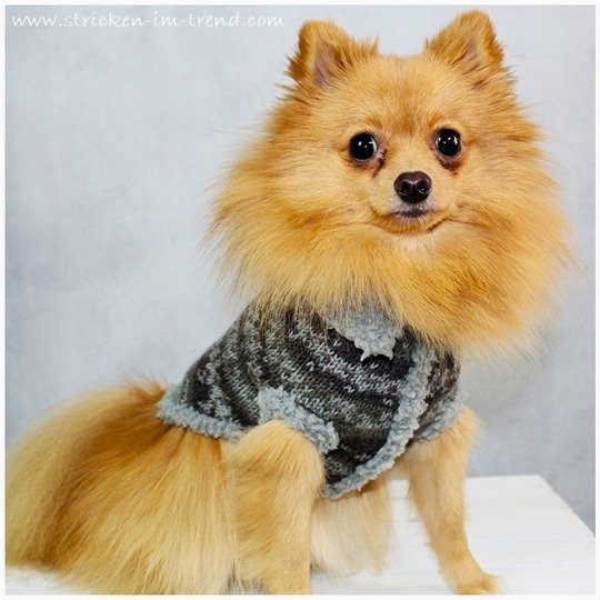 Dog Sweater FJORD Socks #2