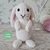 Beryl the Bunny Crochet Amigurumi Pattern (English)