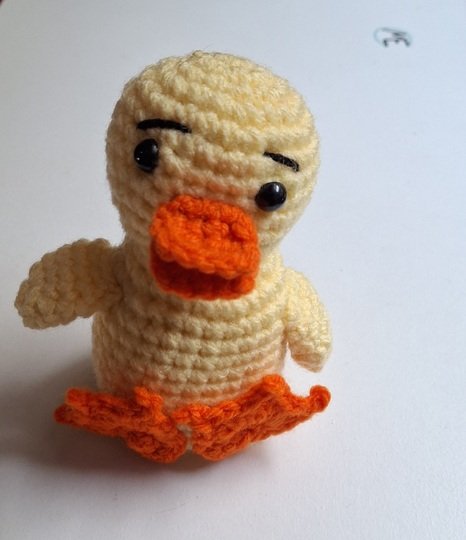 Kwak duckling