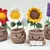 Emotional Support Plant (Sunflower, Lavender, Anemone, and Marguerite)
