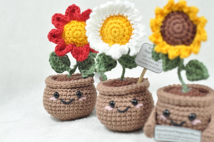 Emotional Support Plant (Sonnenblume, Lavendel, Anemone und Margerite)