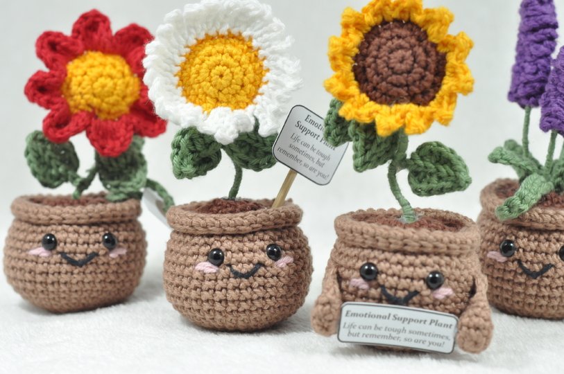 Emotional Support Plant (Sonnenblume, Lavendel, Anemone und Margerite)