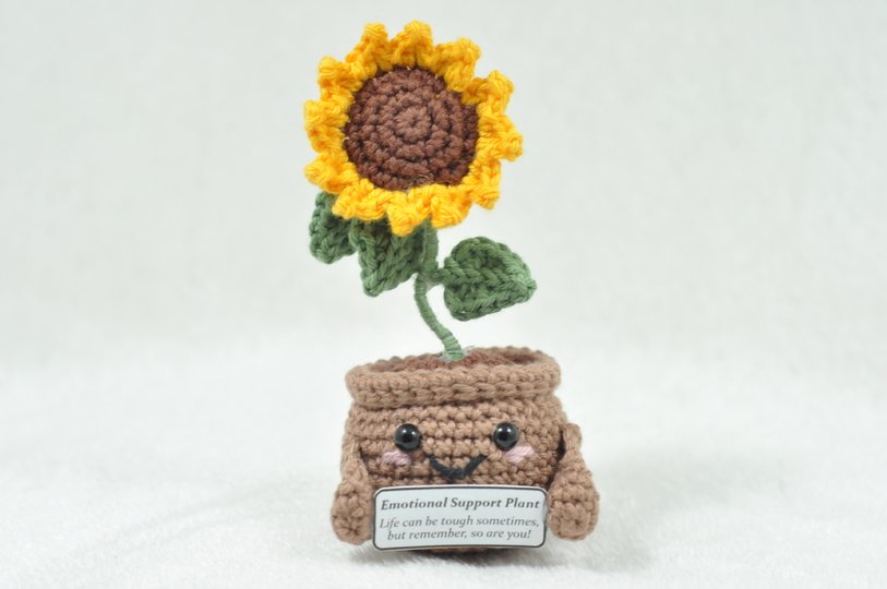 Emotional Support Plant (Sonnenblume, Lavendel, Anemone und Margerite)