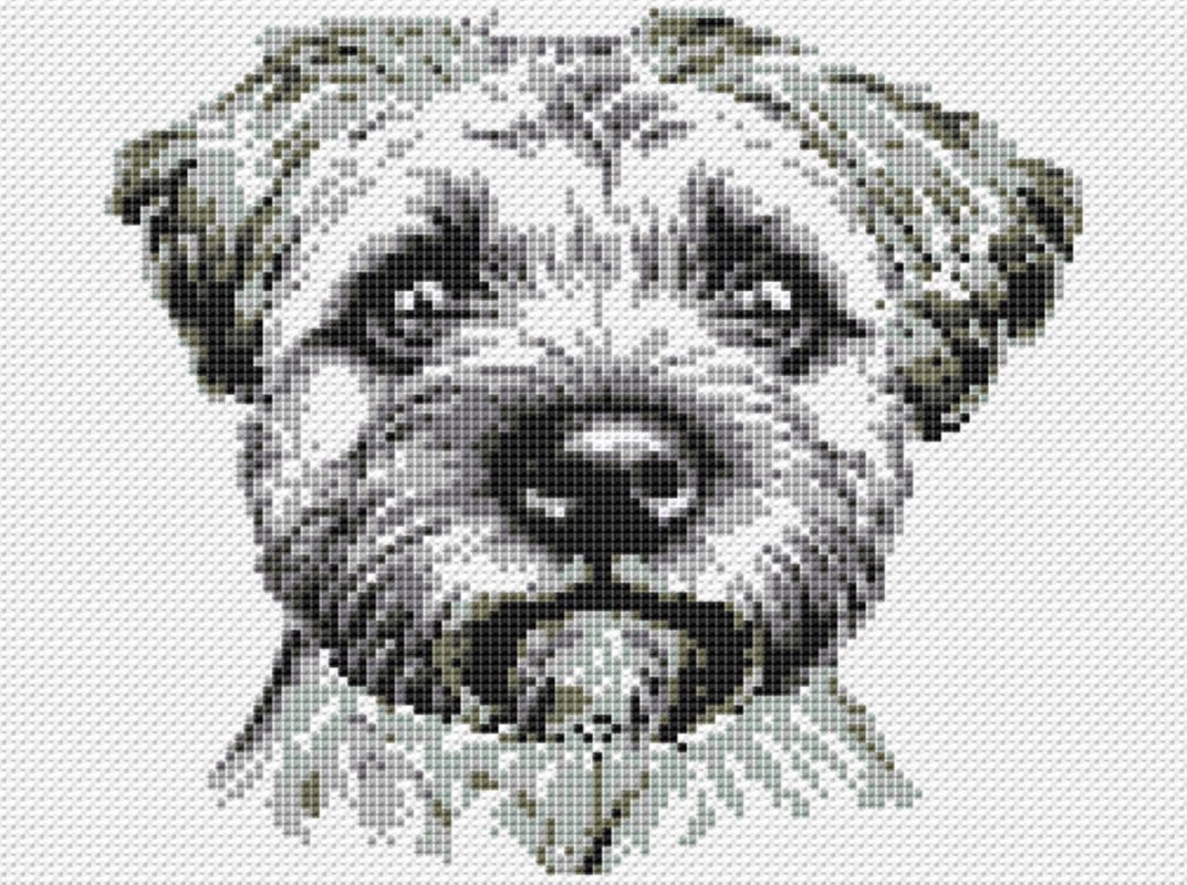 Kreuzstichvorlage Bolonka Linus als PDF/PNG, sticke deinen Lieblingshund