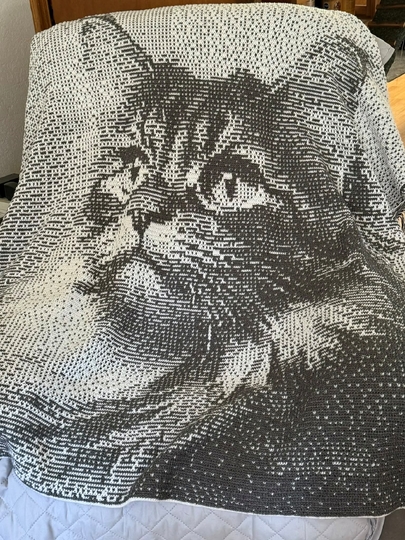 Overlay Mosaic Crochet pattern, "Brown Cat", PDF instant download, English