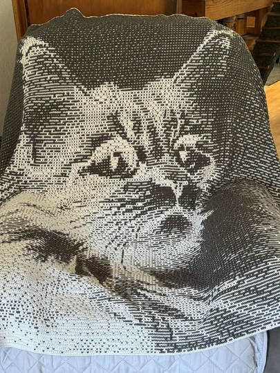 Overlay Mosaic Crochet pattern, "Brown Cat", PDF instant download, English