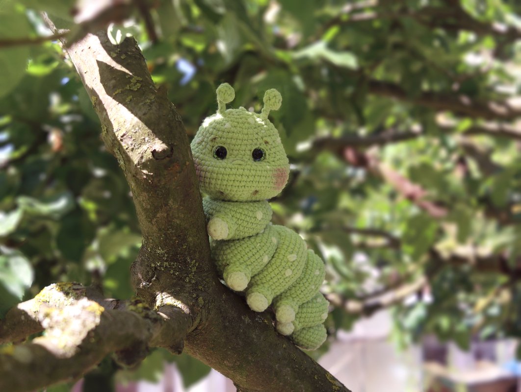 Light green crochet caterpillar amigurumi with black eyes and blush cheeks sitting on a tree branch.