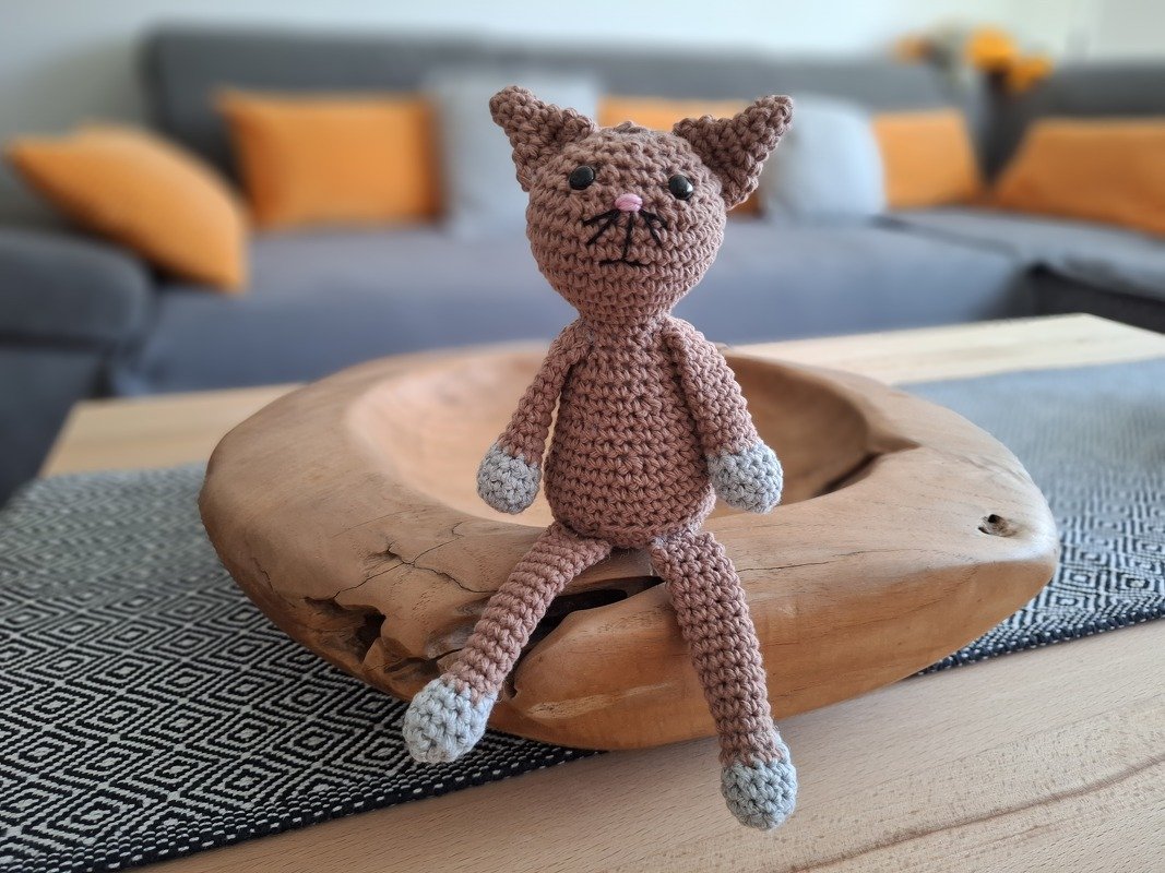 Katzenkinder - Bild 5