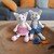 Katzenkinder Tini und Toni