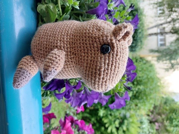 Braunes gehäkeltes Meerschweinchen-Amigurumi mit dunklen Augen vor violetten Blumen