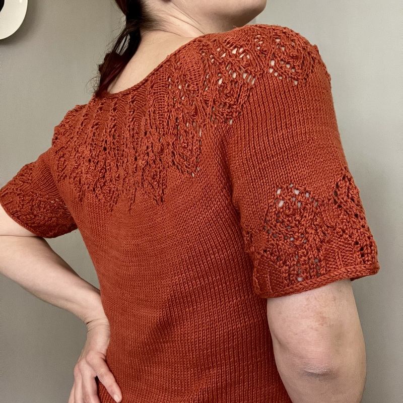 Irideae lace short sleeve sweater