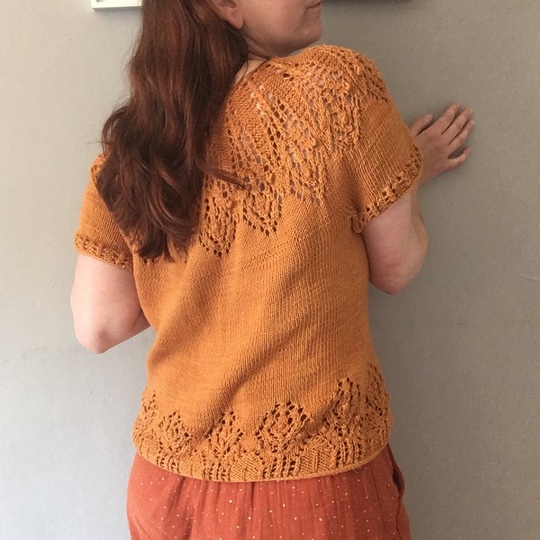 Irideae lace short sleeve sweater