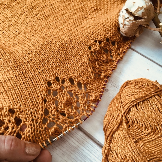 Irideae lace short sleeve sweater