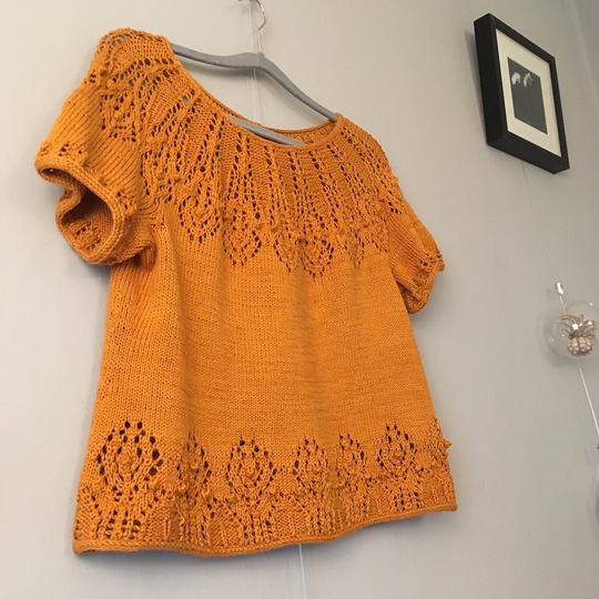 Irideae lace short sleeve sweater