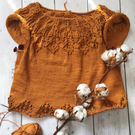 Irideae lace short sleeve sweater