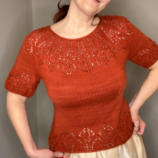 Irideae lace short sleeve sweater
