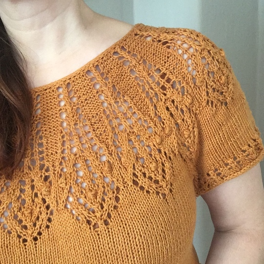 Irideae lace short sleeve sweater