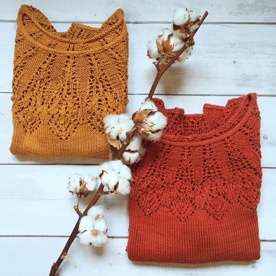 Irideae lace short sleeve sweater