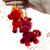 Fiery Foal amigurumi keychain. PDF crochet pattern of a Red Little Horse.