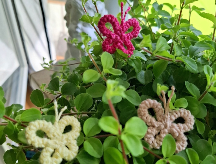 Kleine Deko Schmetterlinge häkeln