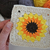 Crochet Sunflower Granny Square