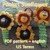 Sunflower in pocket size Worry Worm english US terms