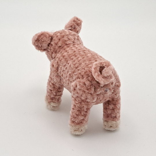 Mini Pig
