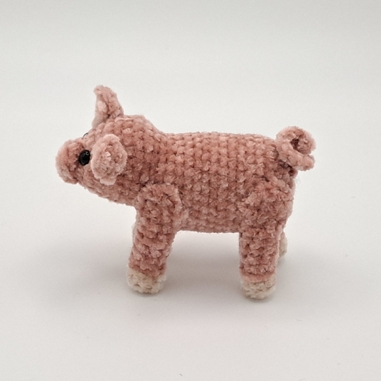 Mini Pig