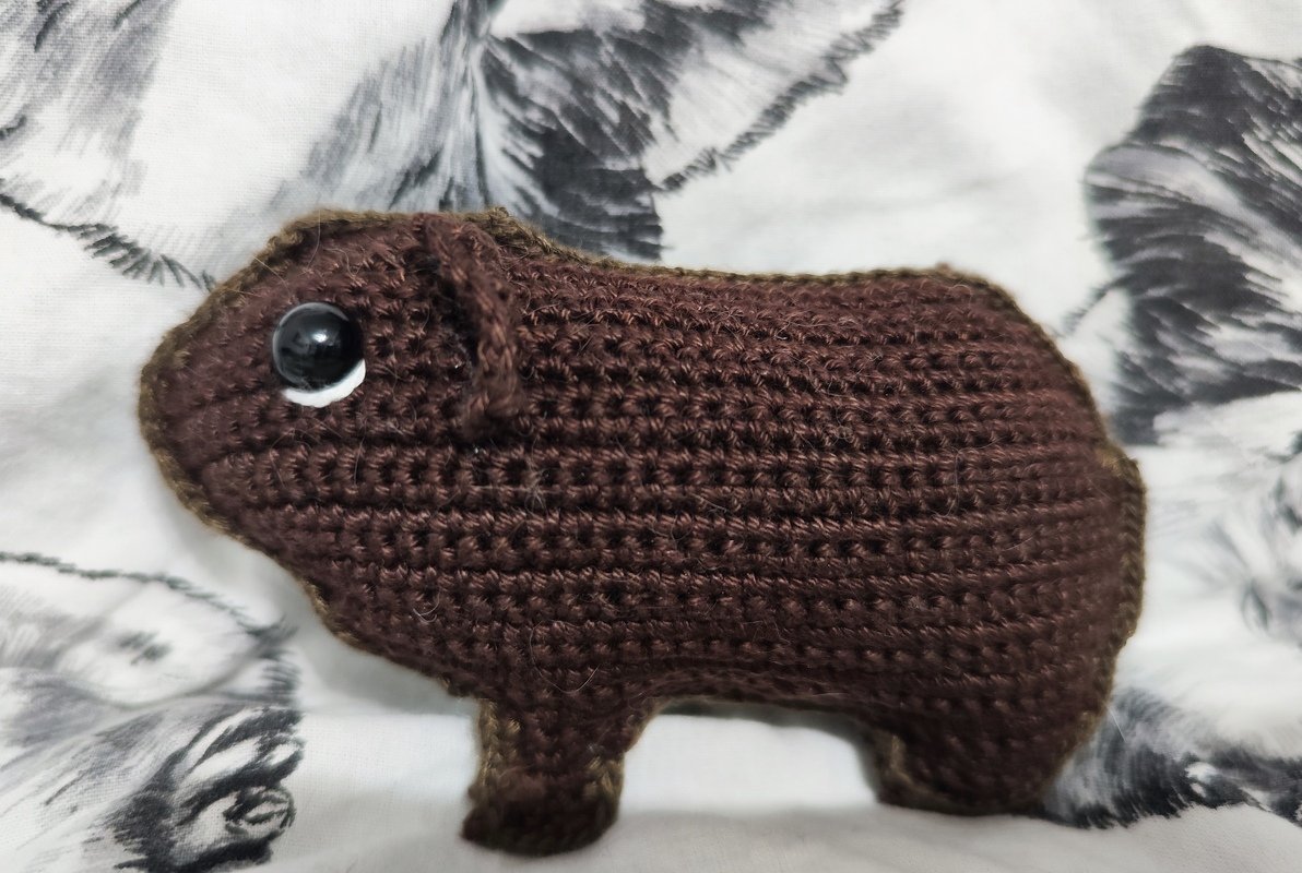 Guinea pig crochet application US terms - Image 4