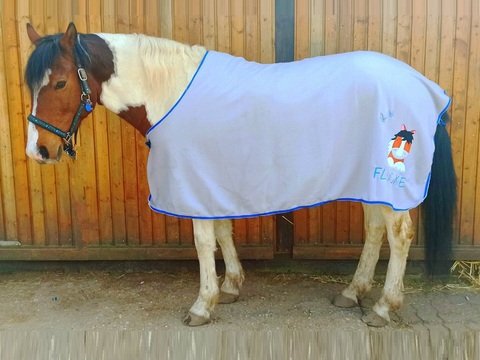 Nähanleitung Abschwitzdecke mit und ohne Halsteil für jeder Größe