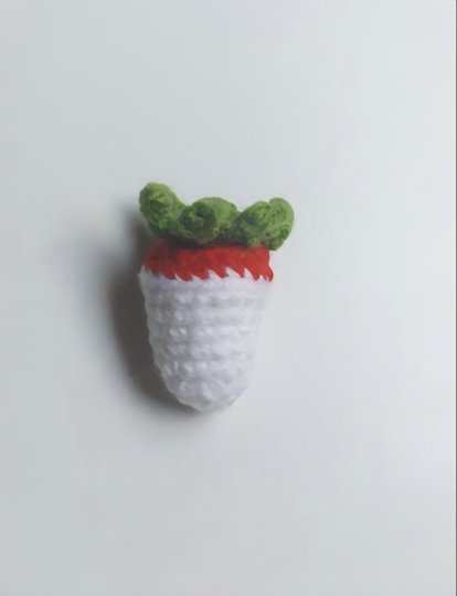 Chocolate covered Strawberries