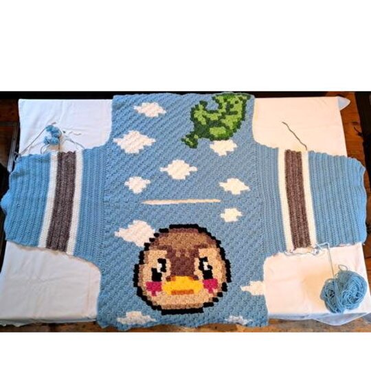 CROCHET PATTERN  * SWEATER MOLLY * c2c Duck sweater