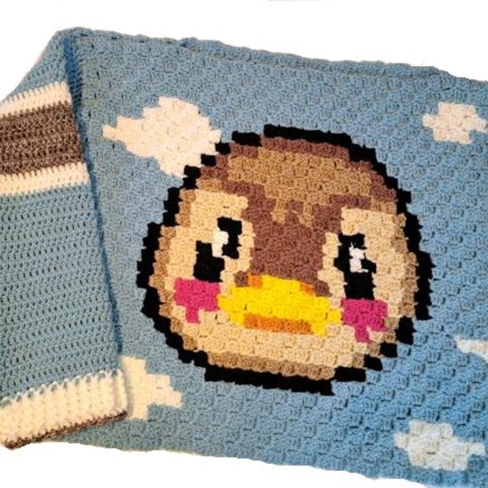 CROCHET PATTERN  * SWEATER MOLLY * c2c Duck sweater