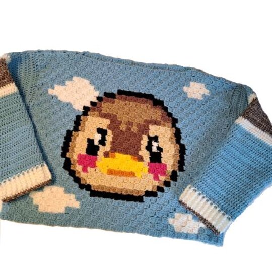 CROCHET PATTERN  * SWEATER MOLLY * c2c Duck sweater