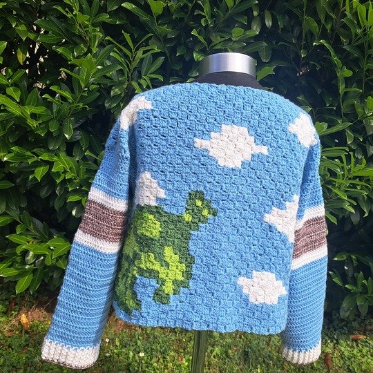 CROCHET PATTERN  * SWEATER MOLLY * c2c Duck sweater