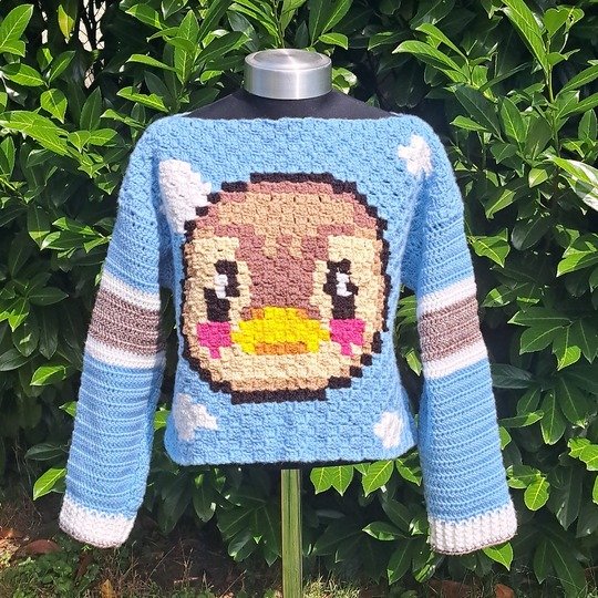 CROCHET PATTERN  * SWEATER MOLLY * c2c Duck sweater