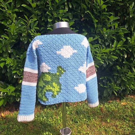 CROCHET PATTERN  * SWEATER MOLLY * c2c Duck sweater
