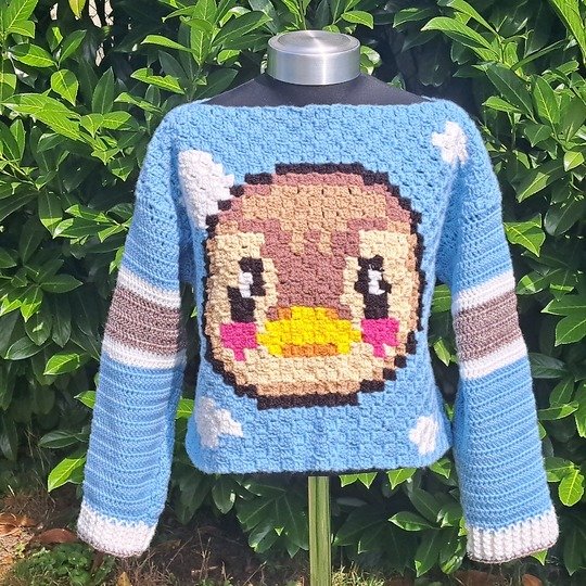 CROCHET PATTERN  * SWEATER MOLLY * c2c Duck sweater