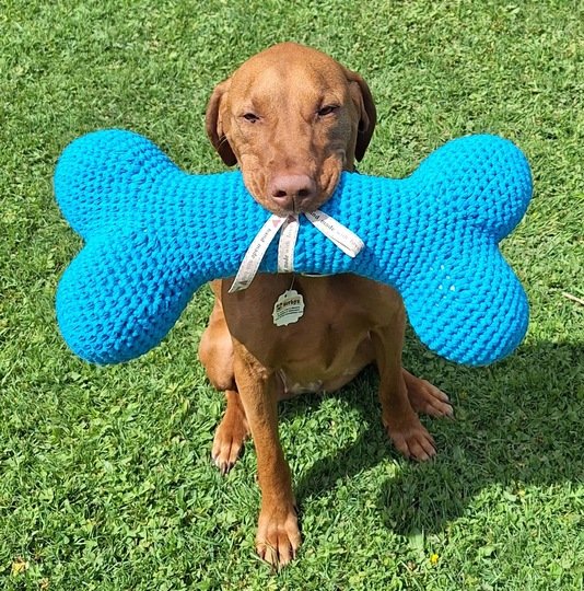 Häkelanleitung Hundespielzeug "Knochen"