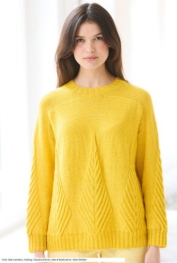 Musterpulli mit Schulterpasse