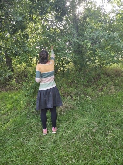 Hedis Blouse | knitting pattern | t-shirt, longsleeve, knitted shirt