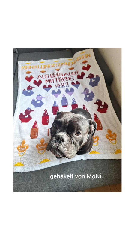 Häkelanleitung Decke "Baby" in der Mosaik Häkeltechnik, Anfänger geeignet - Bild 19