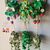 Crochet Patterns, 5 in 1 Hanging Plants Baskets